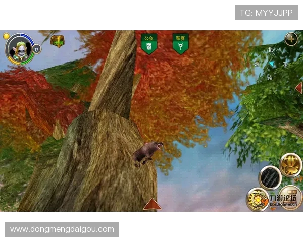 探索ag九游国际论坛中的丰富资源与玩家互动社区